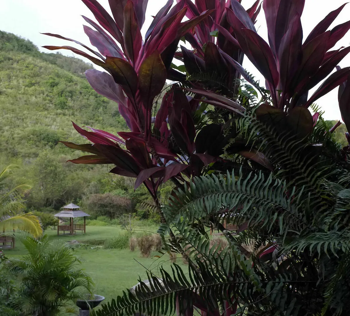 Domaine De La Palmeraie - Villas Lodge 勒迪亚芒 马提尼克