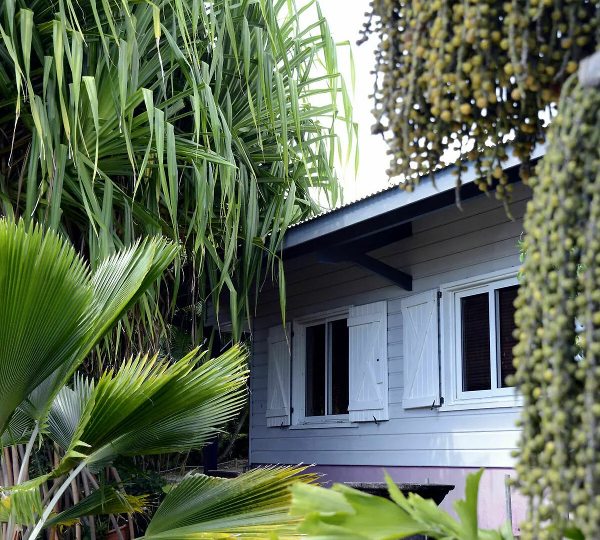 Domaine De La Palmeraie - Villas Lodge 勒迪亚芒 马提尼克